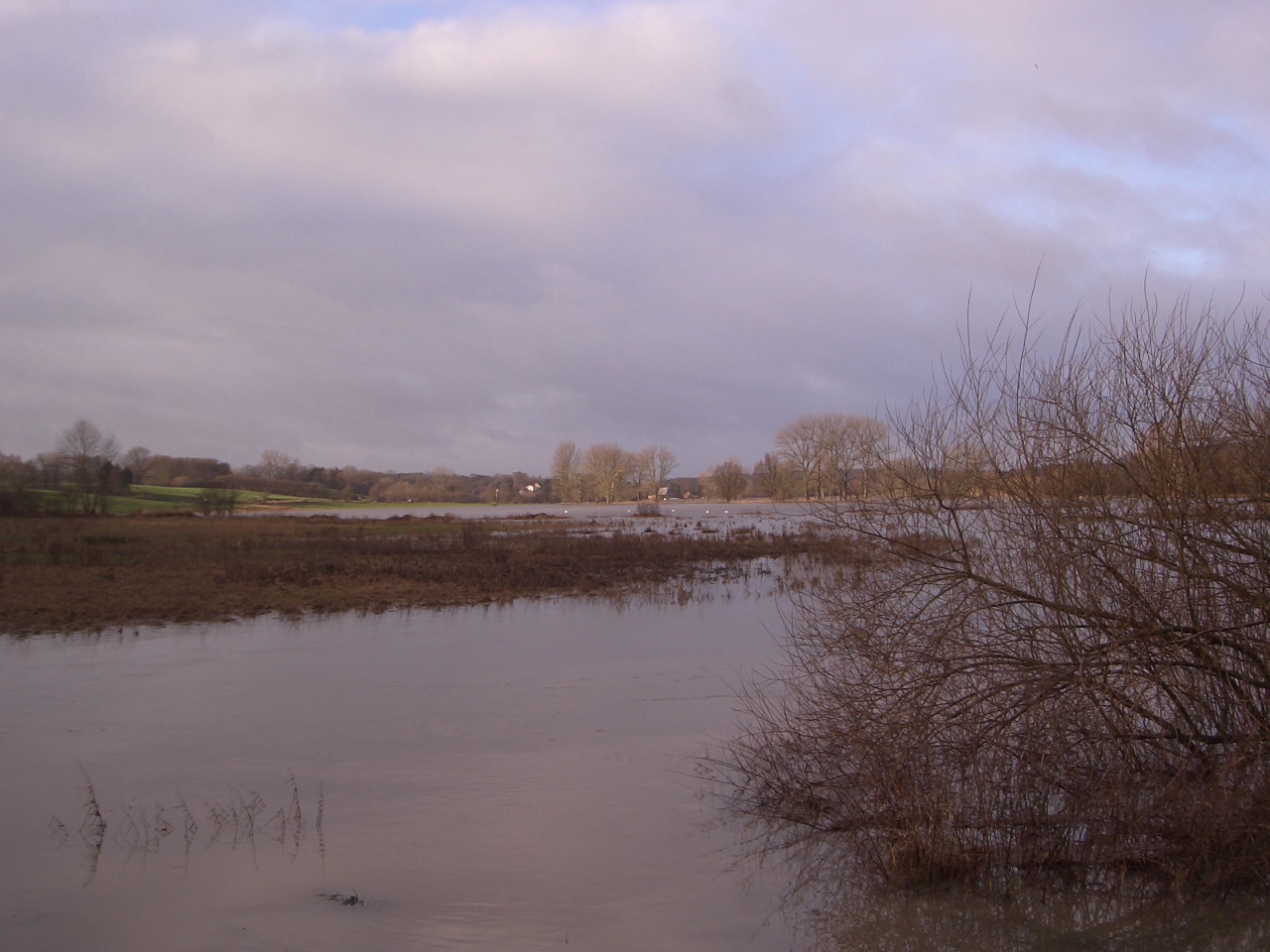 Überschwemmungen der Trave nach den Unwettern 1.Januarwoche