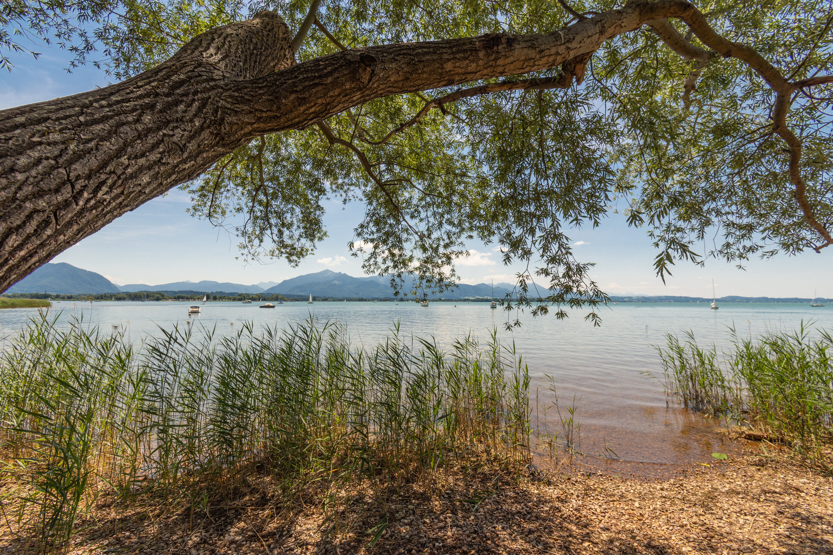 Übersee - Schweinebucht