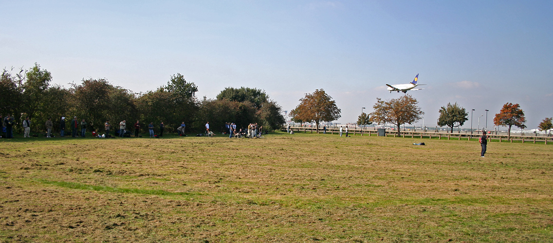 Übersicht Myrtle Avenue Spotterwiese