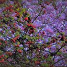 Übertreibung der Natur