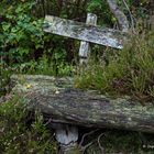 Überwachsene Sitzbank auf der Teufelstischtour ( 9,5 km)