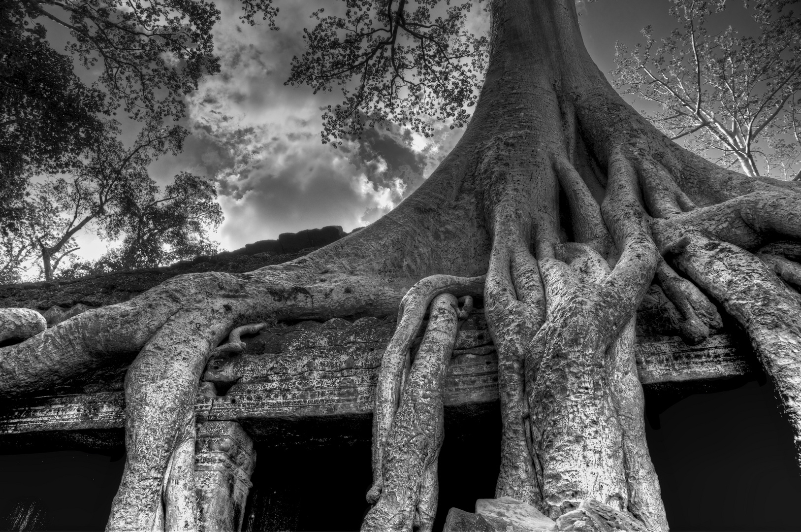 Überwachsener Tempel in Ankor