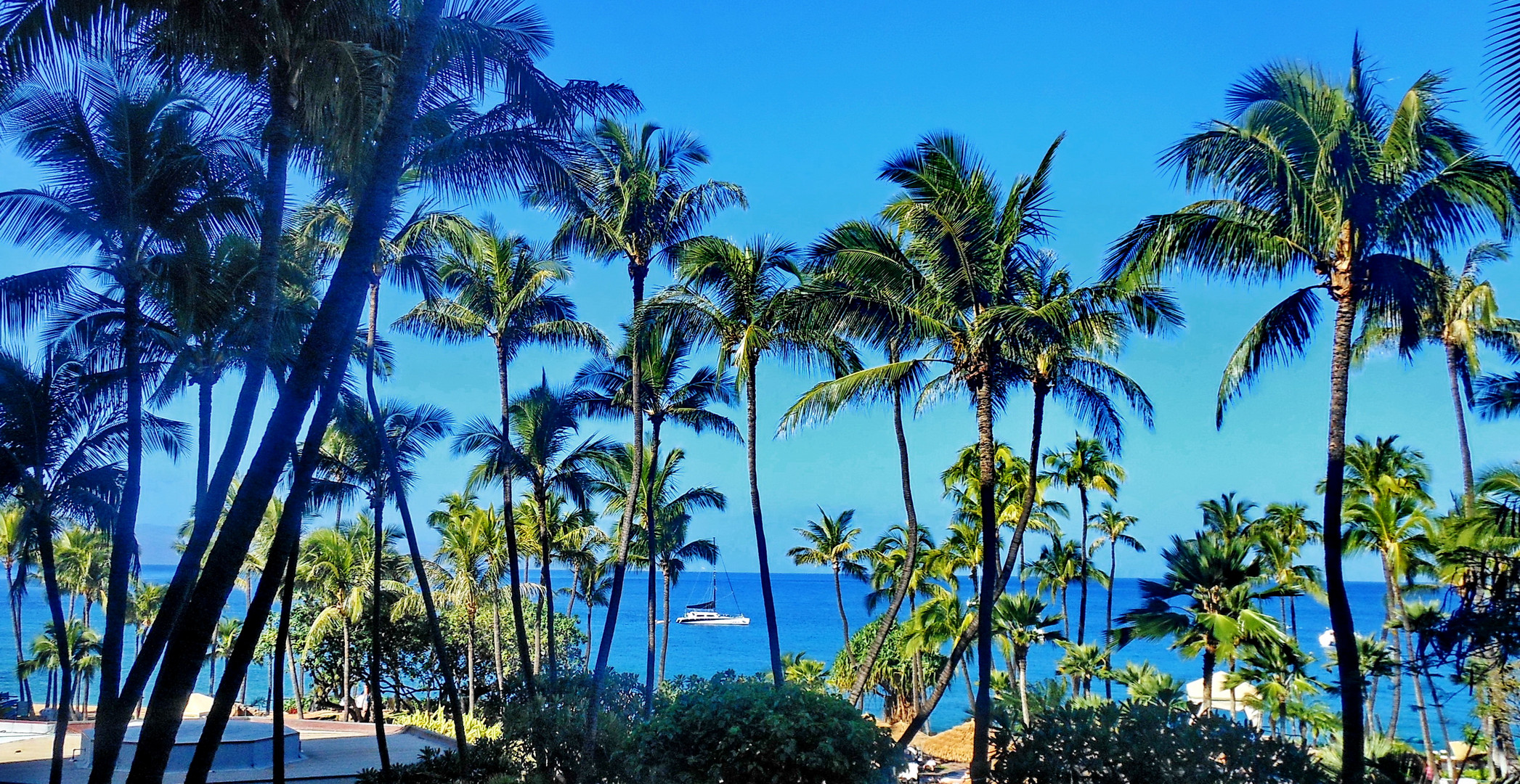 Überwintern in Hawaii