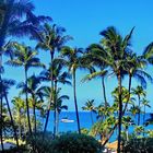 Überwintern in Hawaii