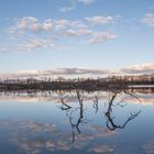 Übeschisee_DSC0378-III