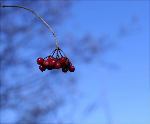 übriggeblieben und vergessen!