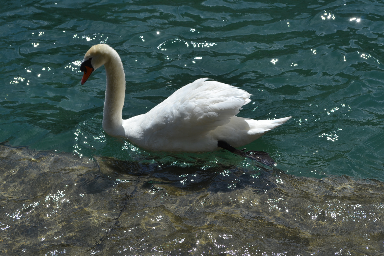 *üb*sommer 2012*