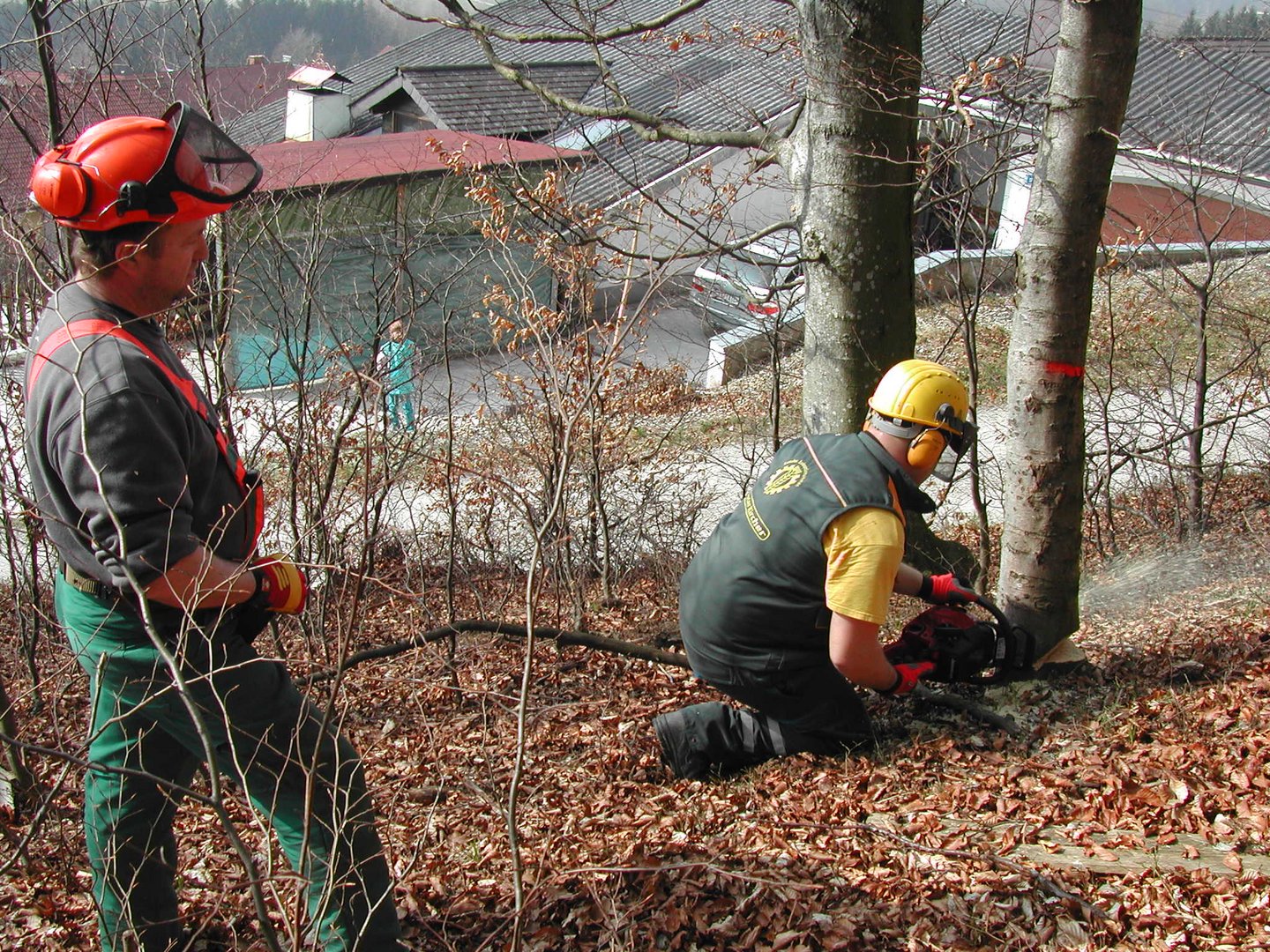 Übung im Wald