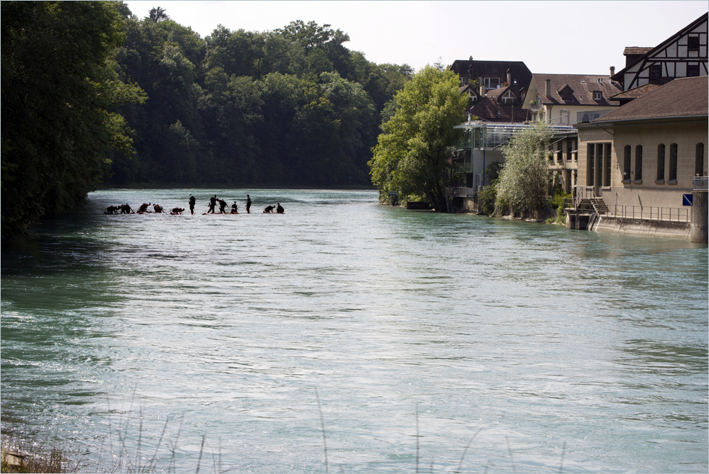 Übung in der Aare