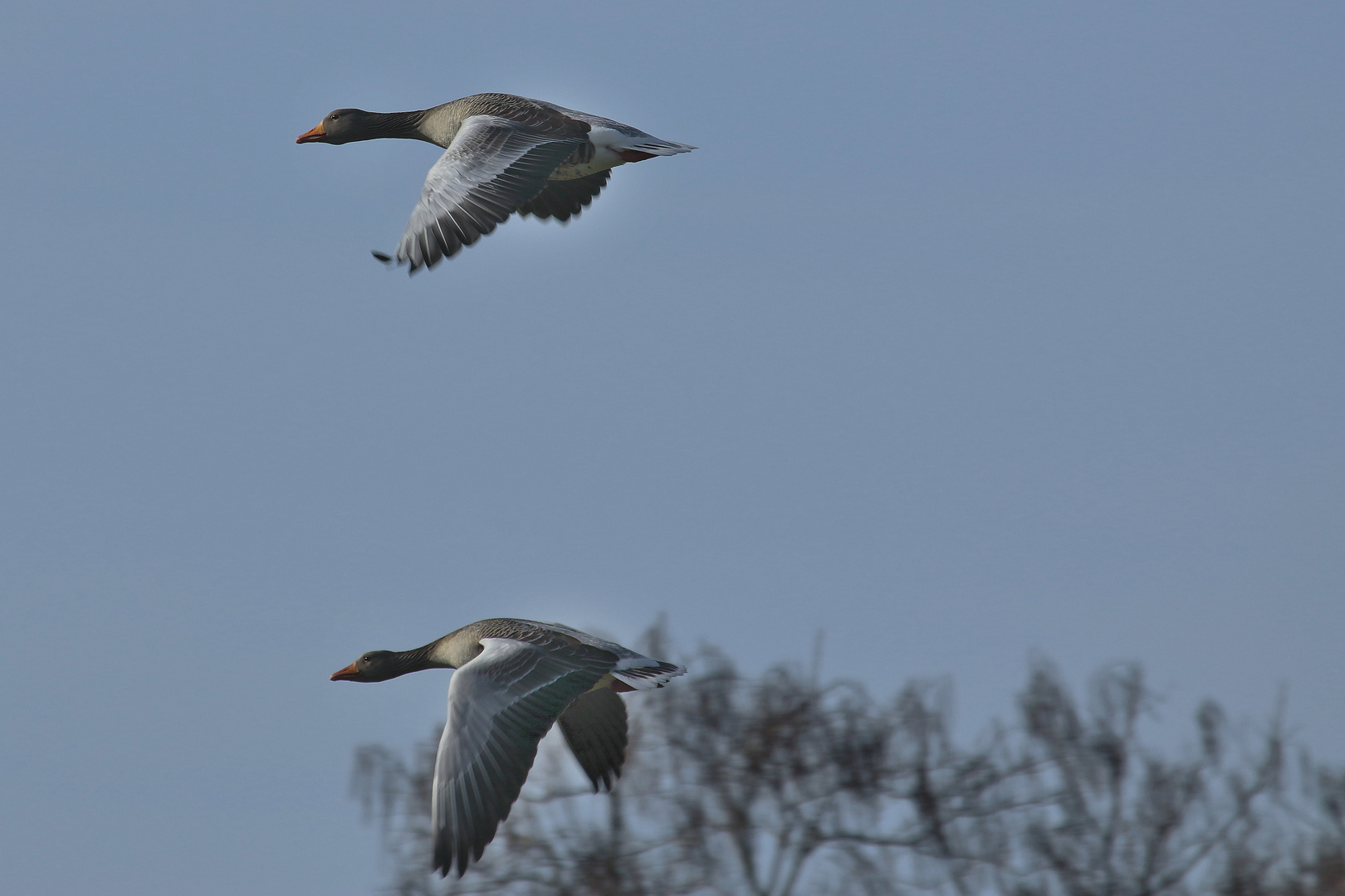 Übung Synchronflug