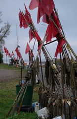 Ueckermünde - am Fischerhafen