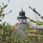 Ueckermünder Schlossturm