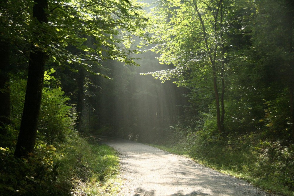 Üetliberg- Aufstieg