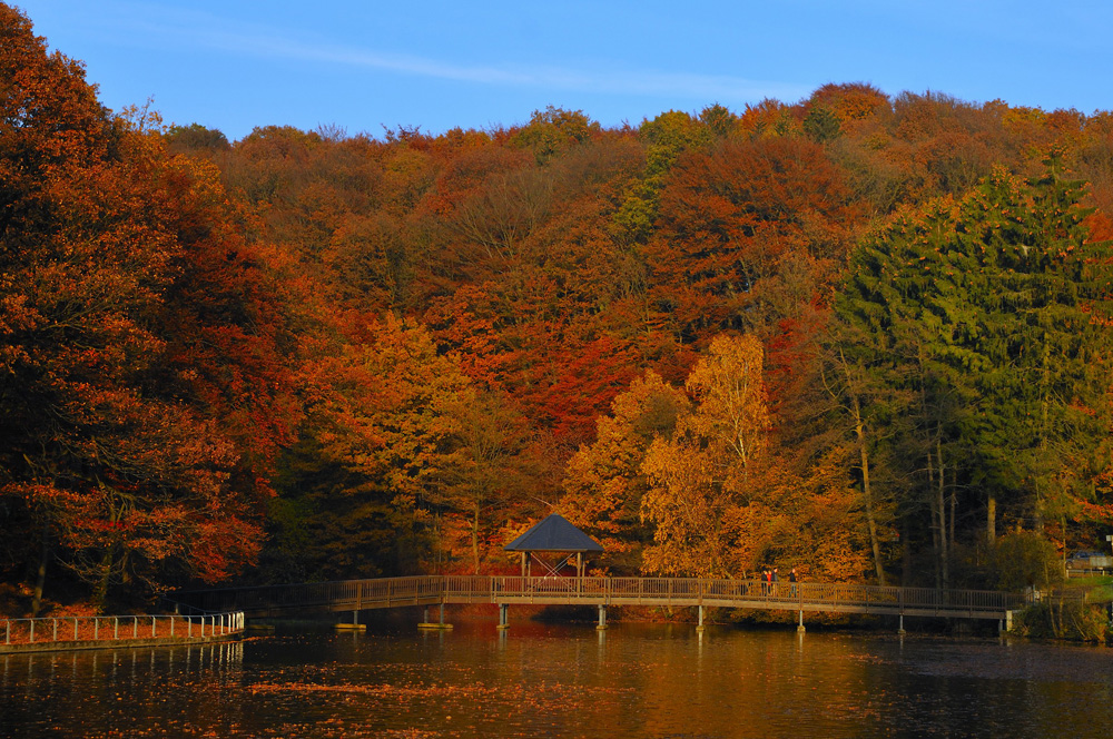 Uelfebadbrücke im Herbst