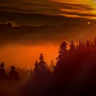 Ueli Wittwer Sonnenaufgang Emmental