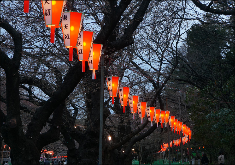 ueno park 2