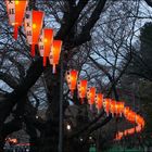 ueno park 2