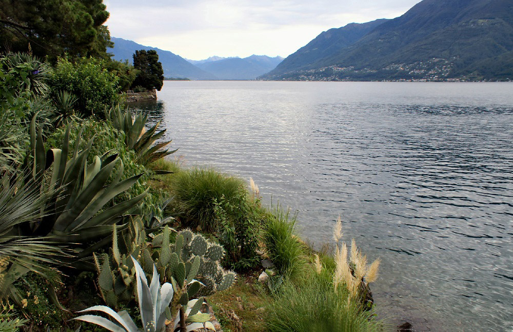 Üppige Vegetation