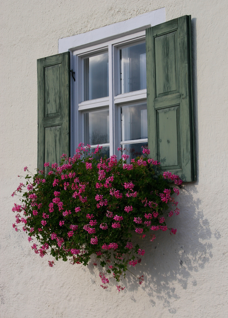 Üppiger Fensterschmuck