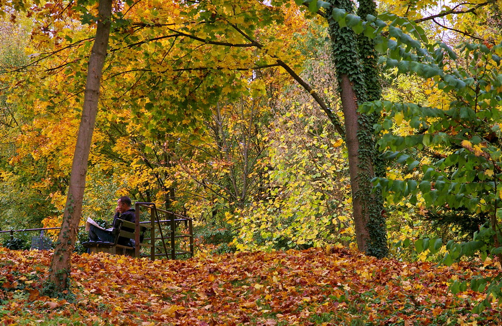 Üppiger Herbst