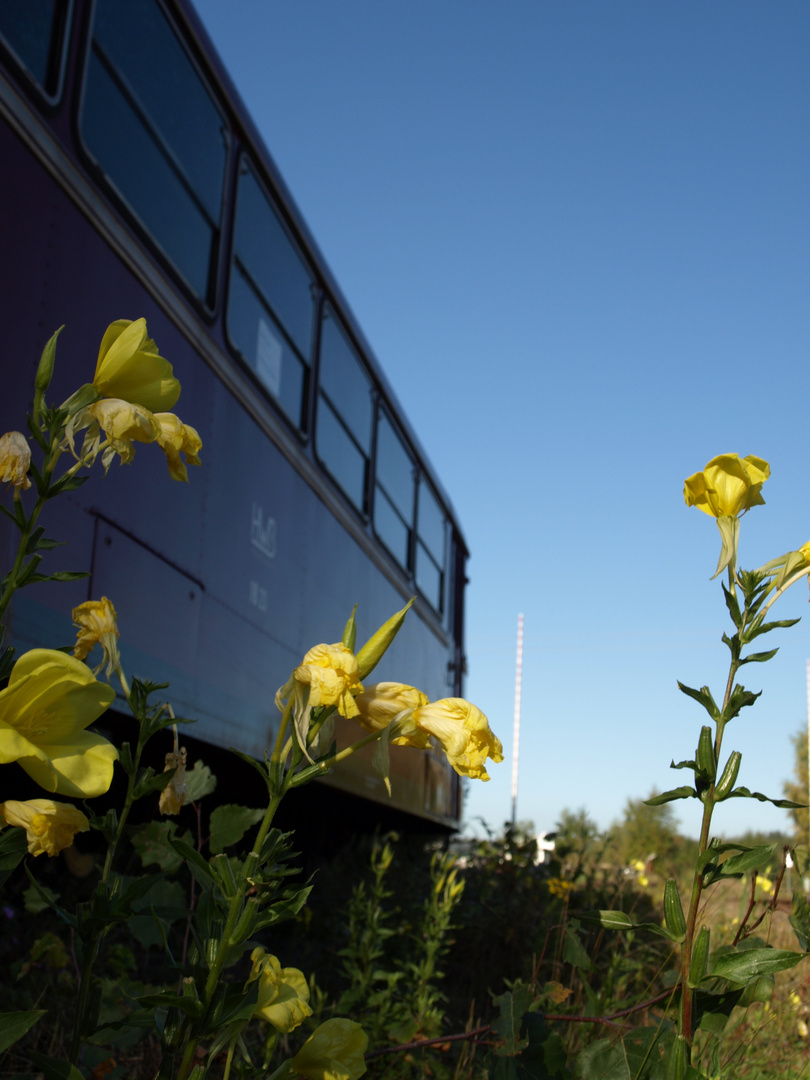 Uerdinger Schienenbus der Hochwald Bahn