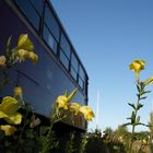 Uerdinger Schienenbus der Hochwald Bahn