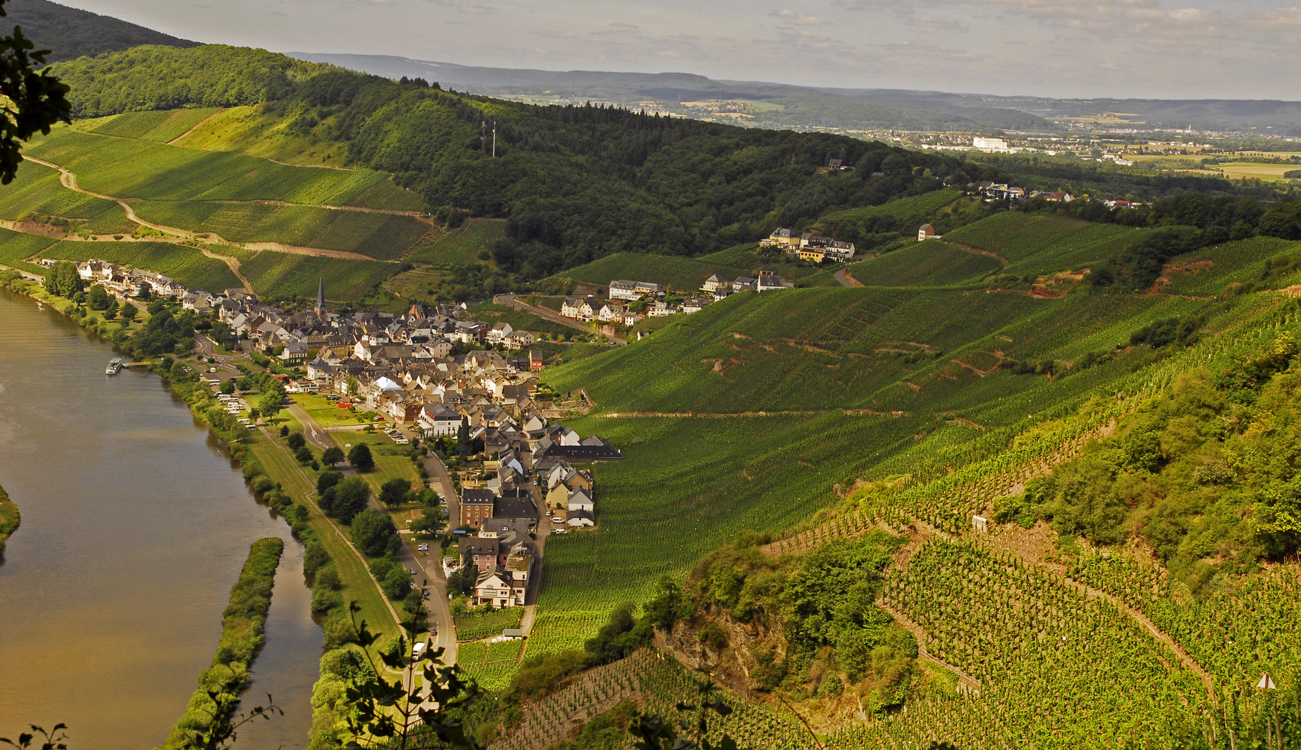 Ürzig/Mosel