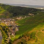 Ürzig/Mosel