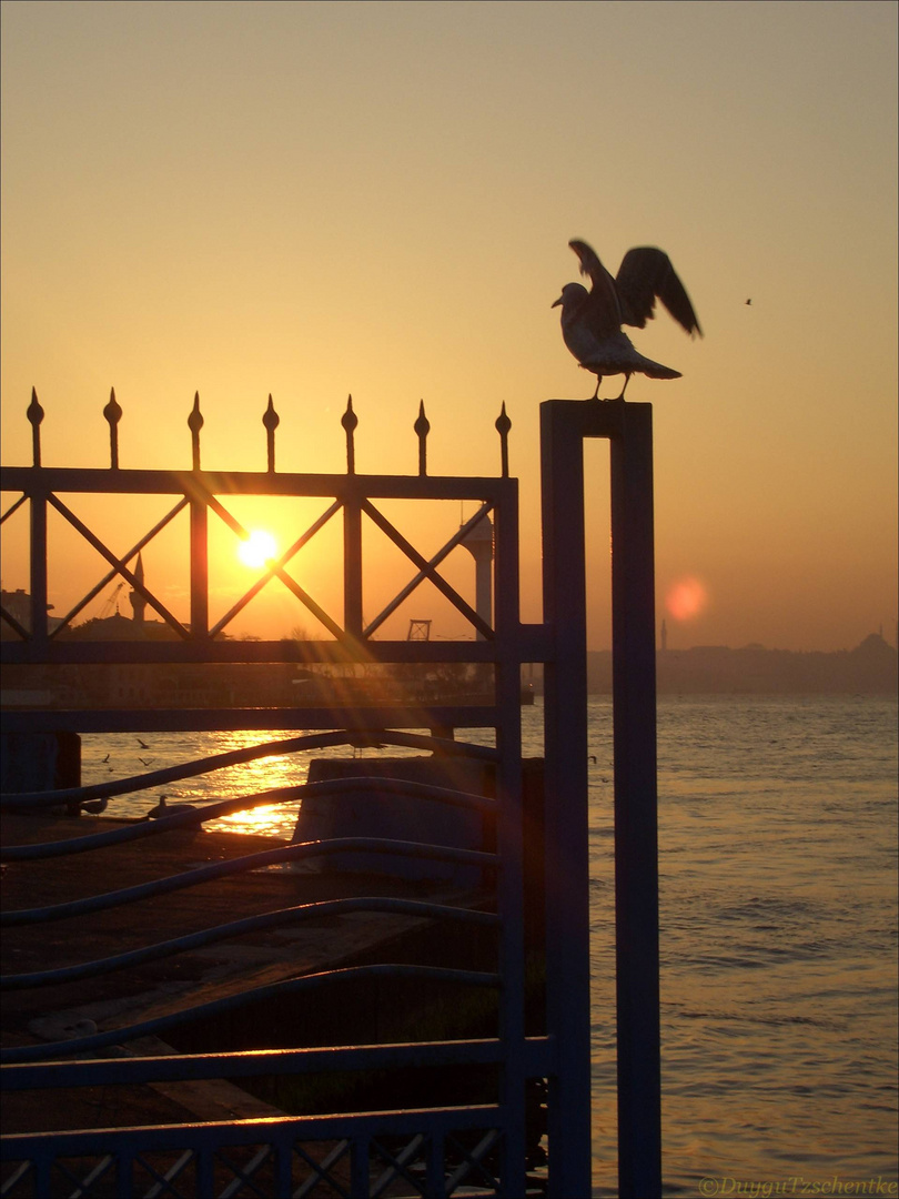 Üsküdar'dan