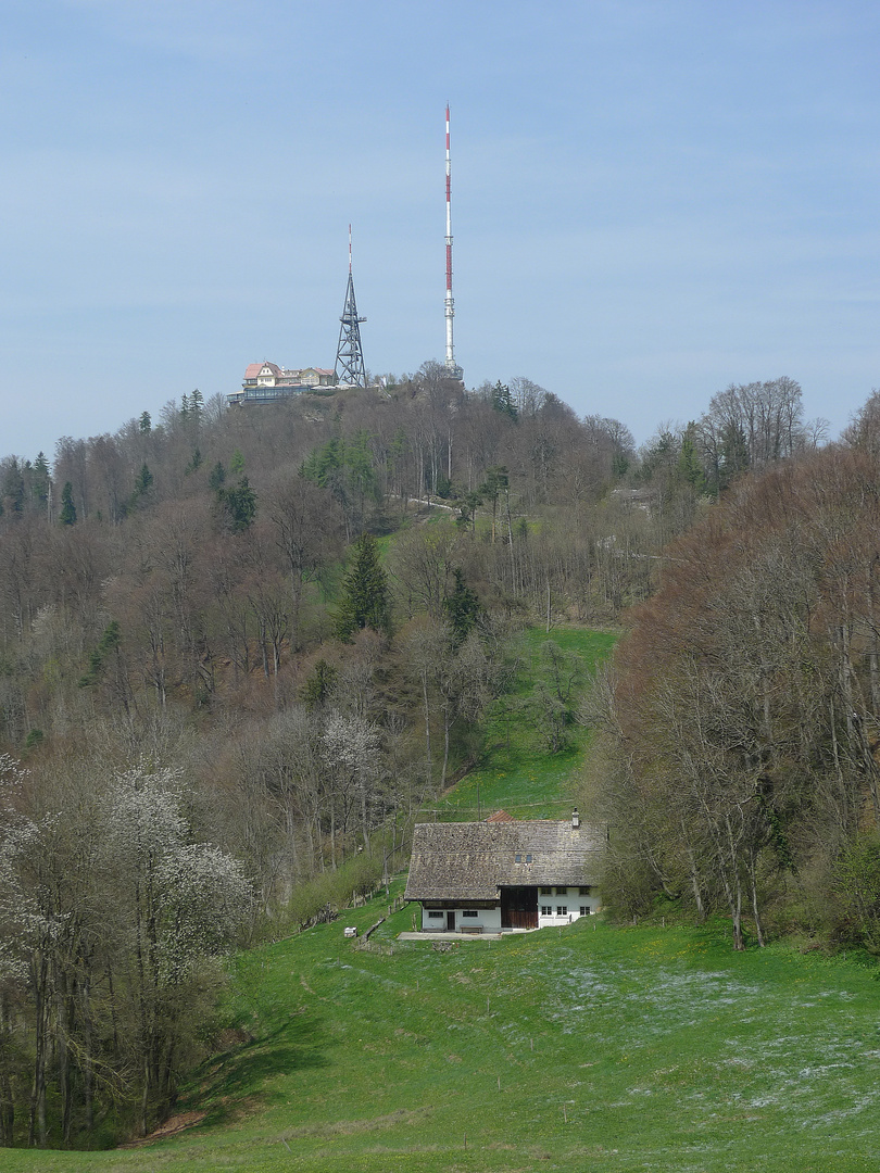 Uetliberg - 04 - im Frühling.