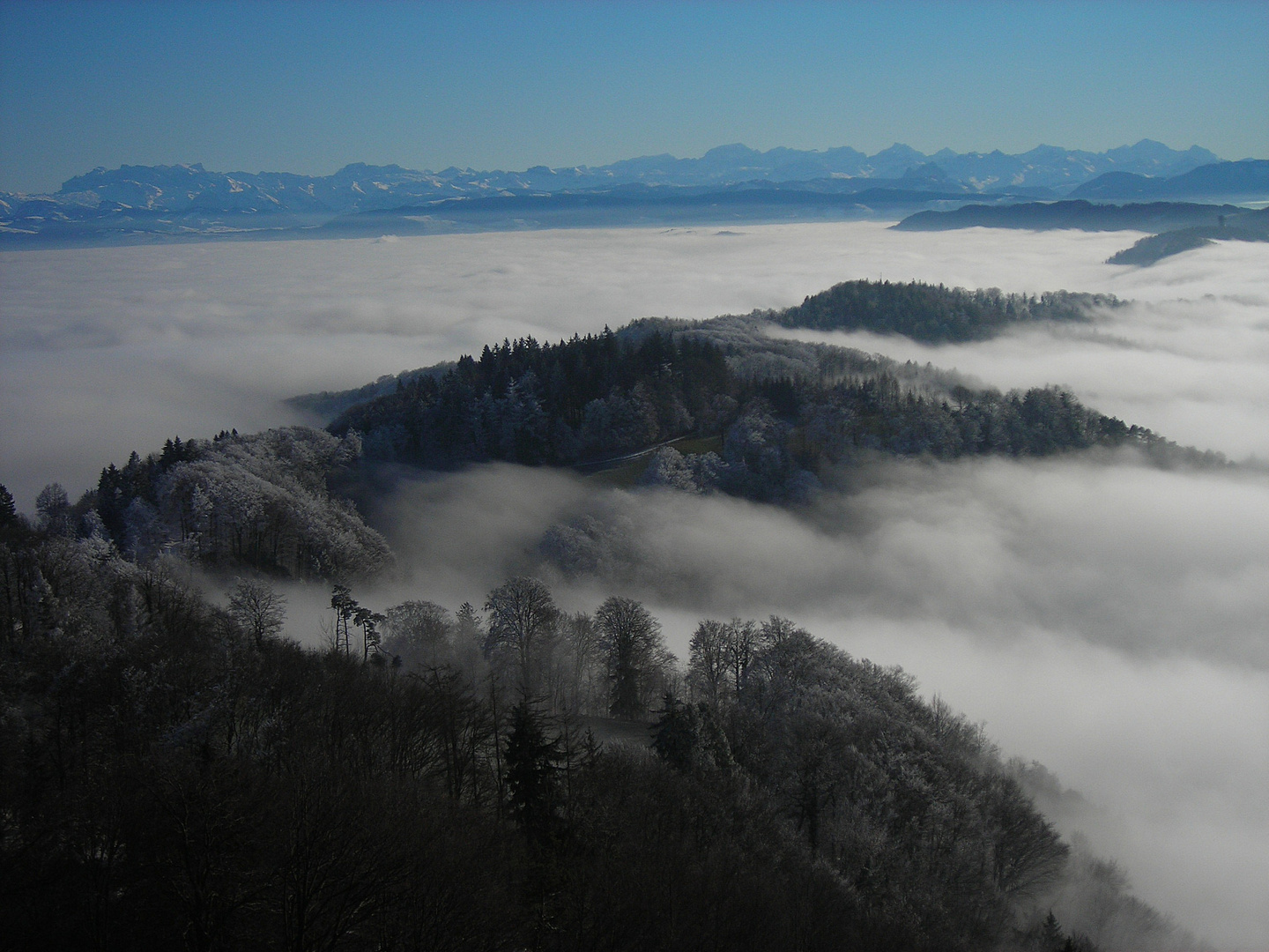 Uetliberg - 08 - Aussicht vom Aussichts-Turm.