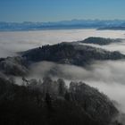 Uetliberg - 08 - Aussicht vom Aussichts-Turm.