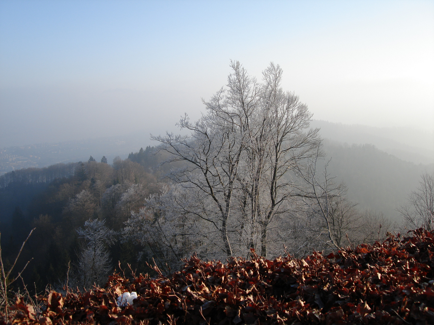 Uetliberg