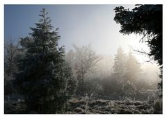 Uetliberg