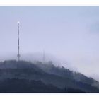 Uetliberg bei Nebel.