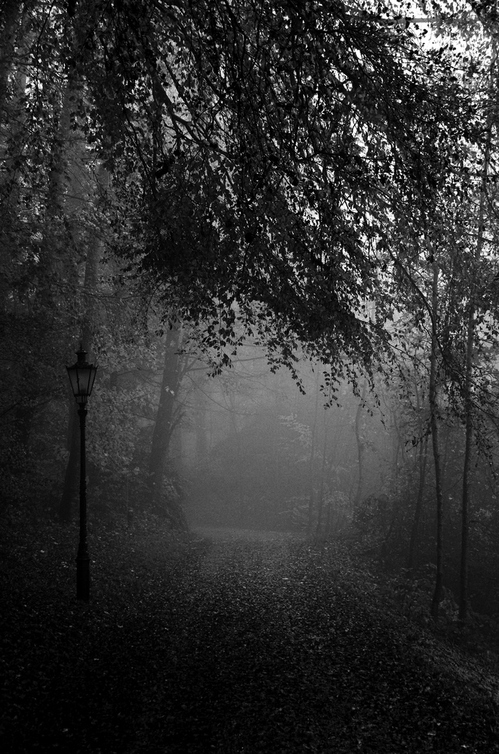 Uetliberg im Nebel