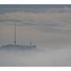 Uetliberg im Nebel.