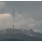 Uetliberg in Herbststimmung.