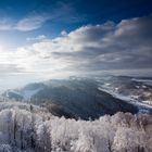 Uetliberg morgens um 9