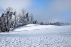 Uetliberg New Year