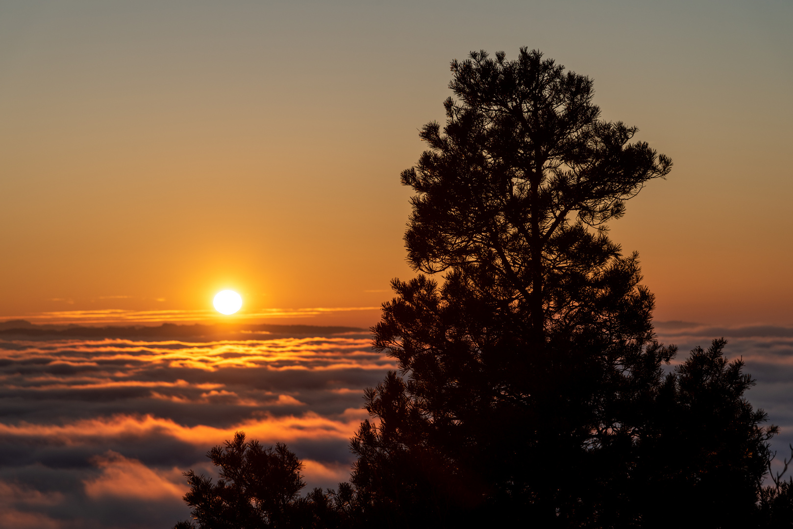 Uetliberg - Über dem Nebel