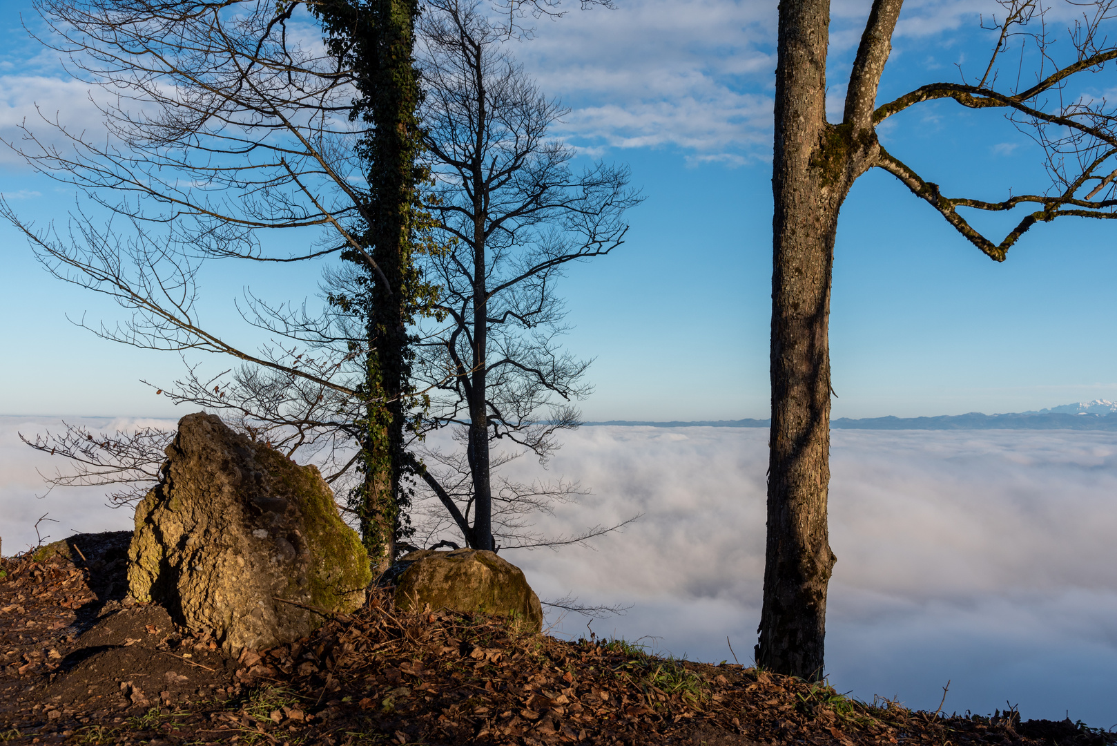 Uetliberg - Über dem Nebel