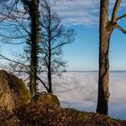 Uetliberg - Über dem Nebel