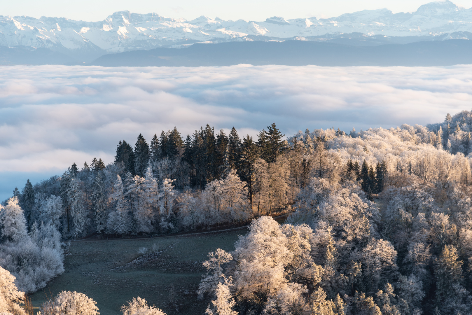 Uetliberg - Über dem Nebel