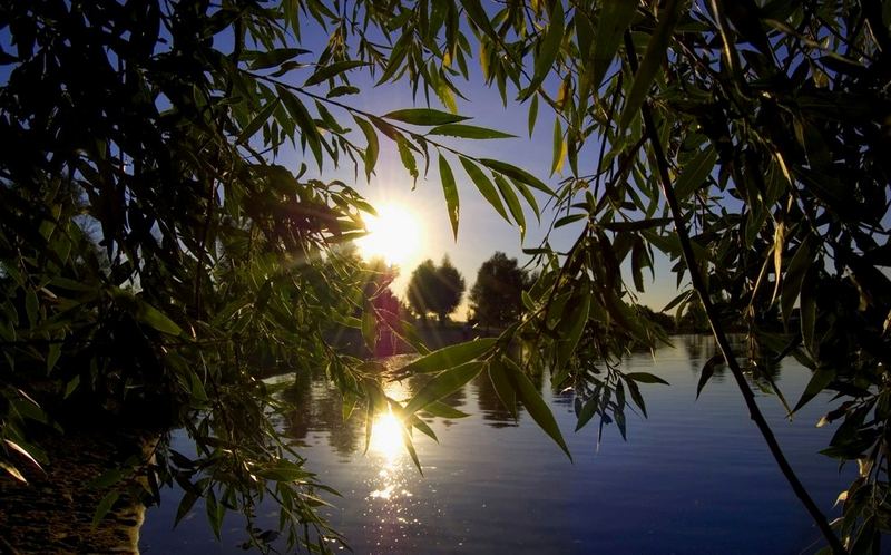 Ufer am Altmühlsee Mittelfranken