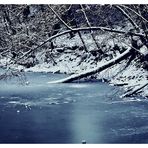 Ufer am Karpfenteich 