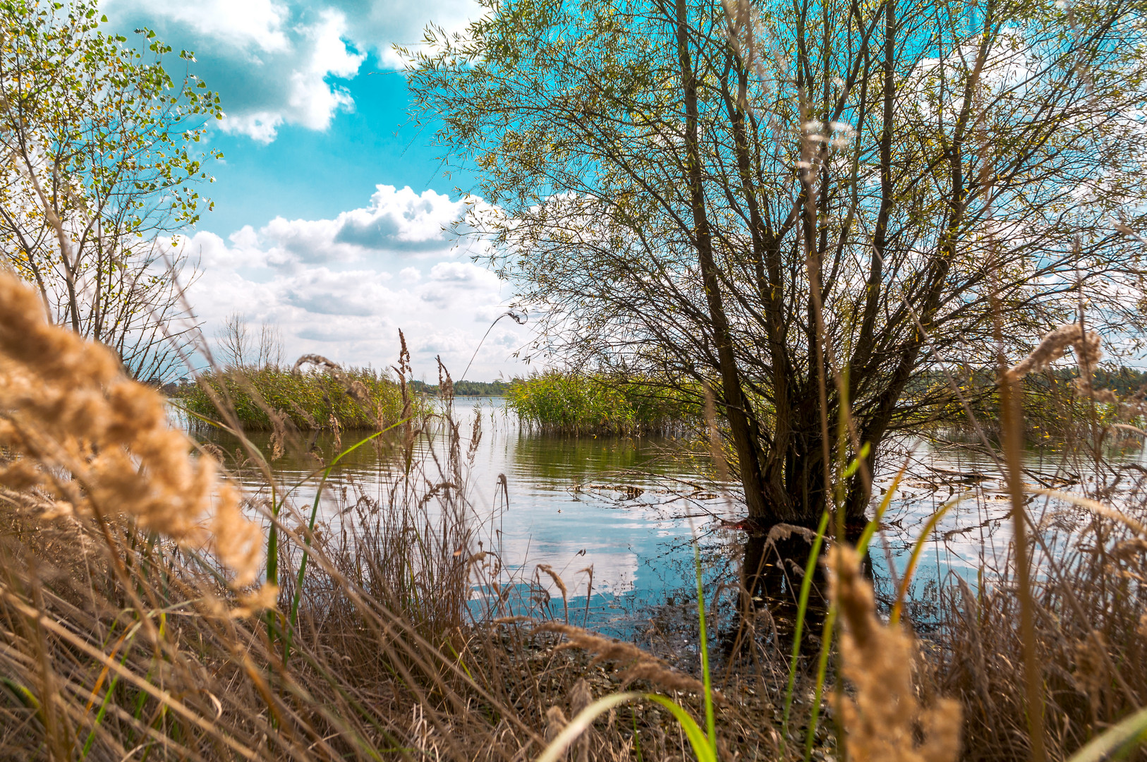 Ufer am Schladitzer See