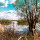 Ufer am Schladitzer See