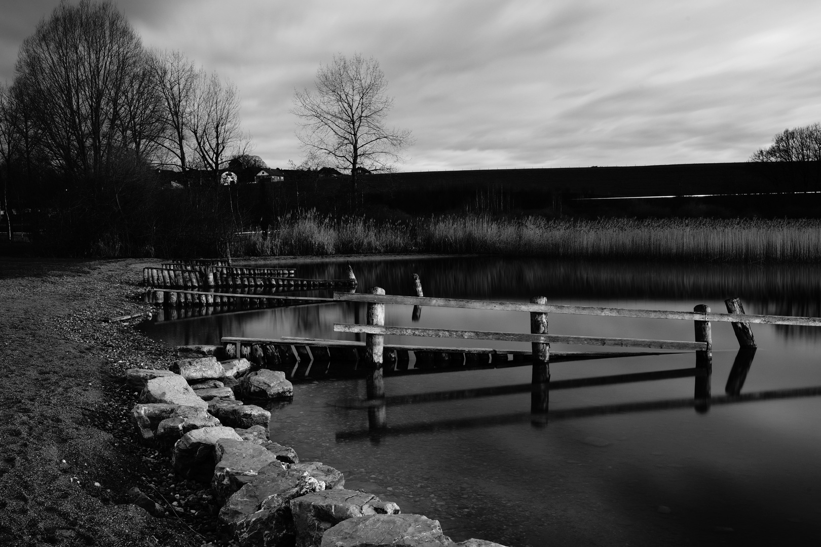 Ufer am Seebad Wallersee II