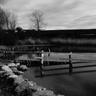 Ufer am Seebad Wallersee II